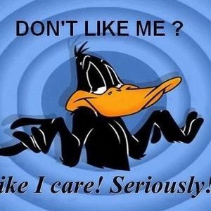 Meet your Posher, Robin